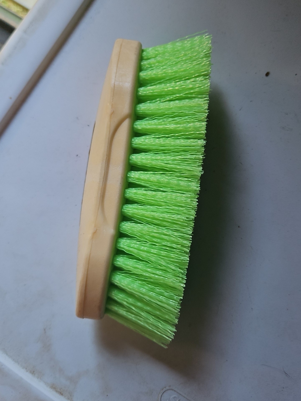 Gorse Grooming Green Bristle Hand Brush